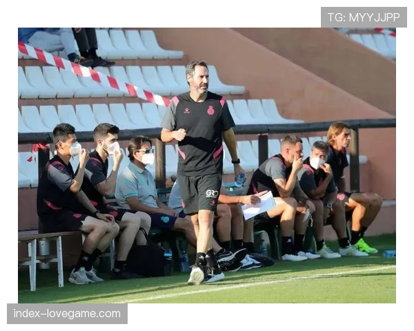 中资俱乐部在欧洲:西班牙人与格拉纳达的运营现状对比